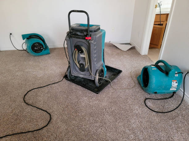 Best Commercial water damage restoration  in Moore, OK