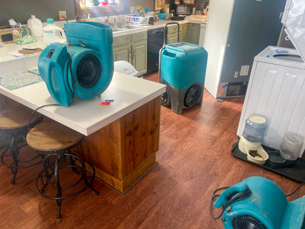 Water damage restoration mold remediation in OK