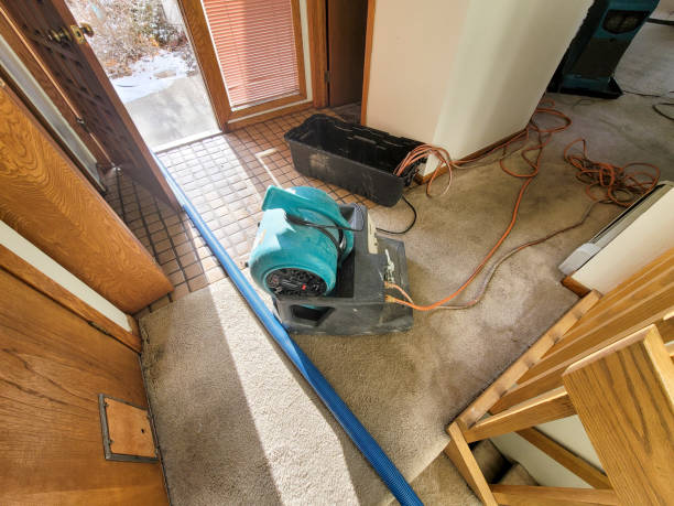 Best 24-hour water damage restoration  in Moore, OK