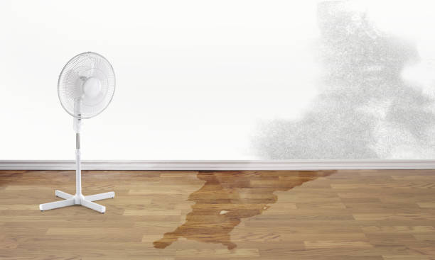 Best Carpet water damage restoration  in Moore, OK