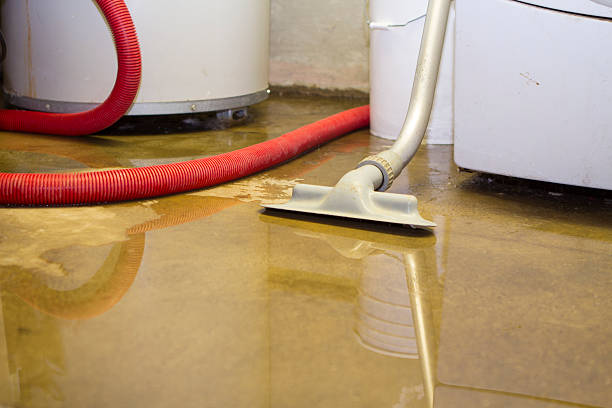 Best Flood damage cleanup  in Moore, OK