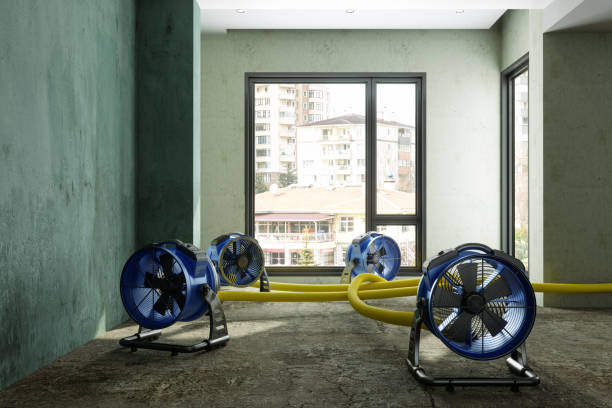 Best Professional water damage repair  in Moore, OK
