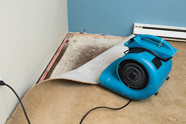 Best Water damage restoration mold remediation  in Moore, OK